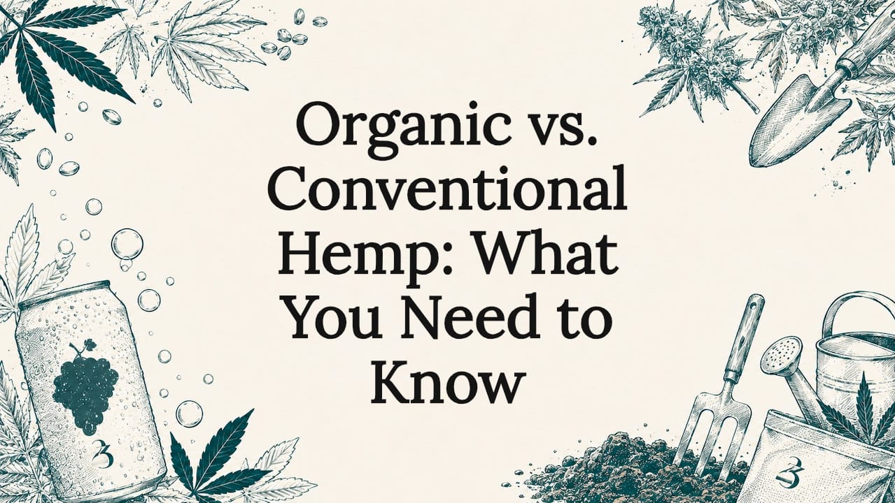 Organic vs. Conventional Hemp: What You Need to Know